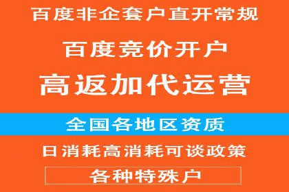 知名SEM公司案例分析：优化策略与成果